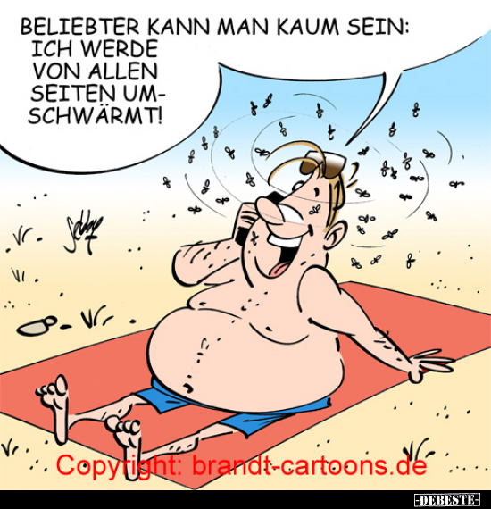 Beliebter kann man kaum sein: Ich werde von allen Seiten umschwärmt!