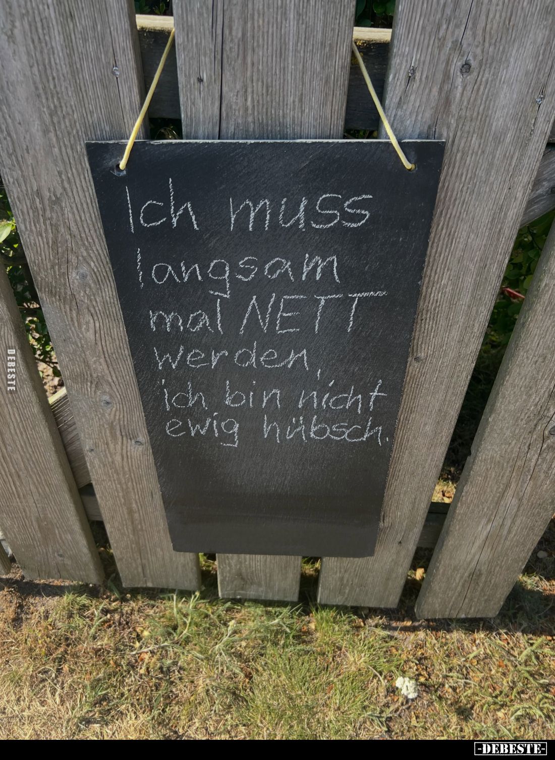 Ich muss langsam mal NETT werden, ich bin nicht ewig hübsch.