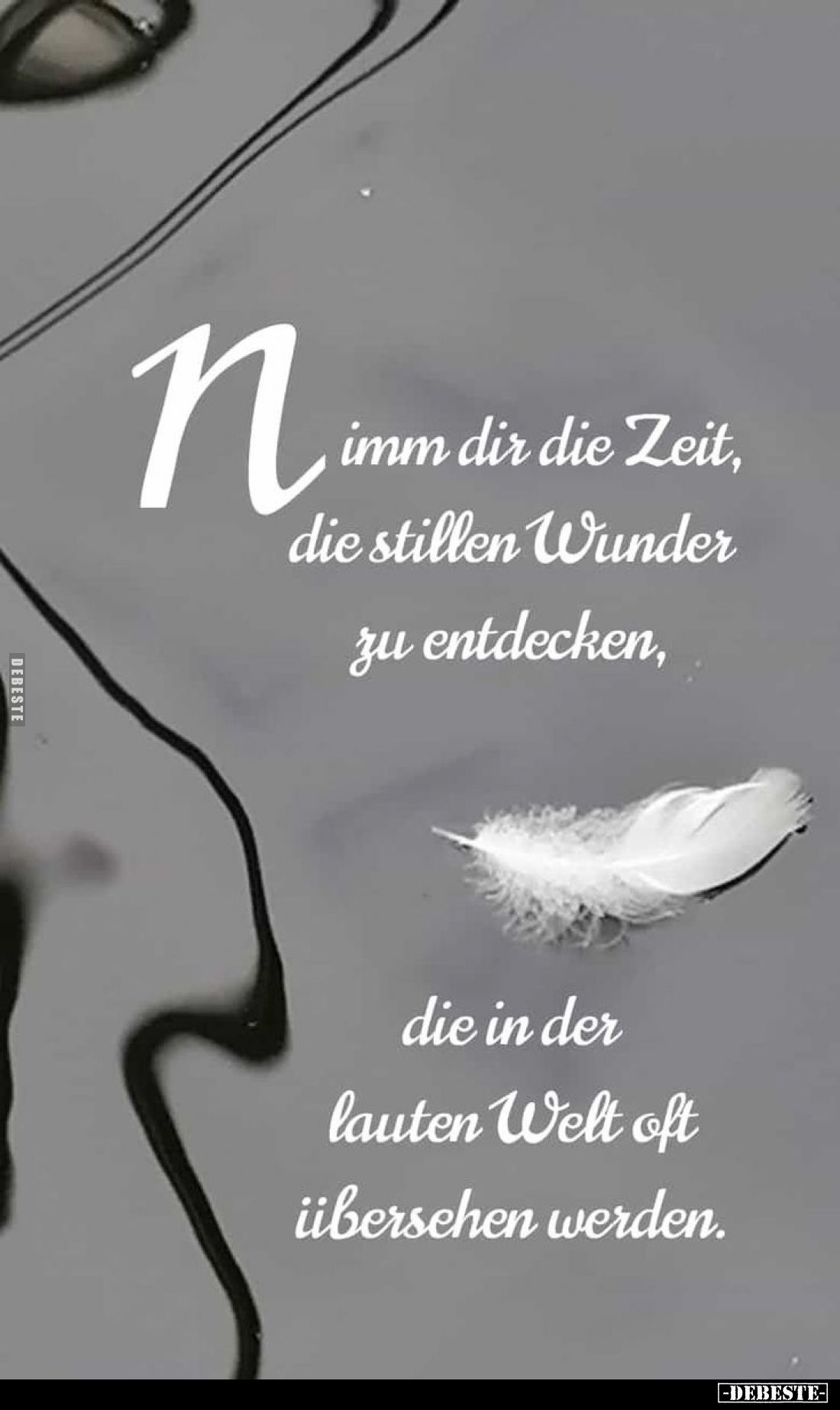 Nimm dir die Zeit, die stillen Wunder zu entdecken,
die in der lauten Welt oft übersehen werden.