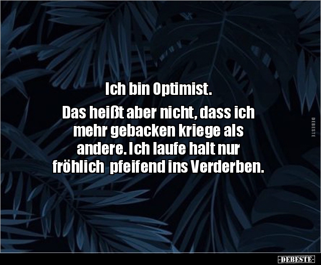 Ich bin Optimist. Das heißt aber nicht, dass ich.. - Lustige Bilder | DEBESTE.de