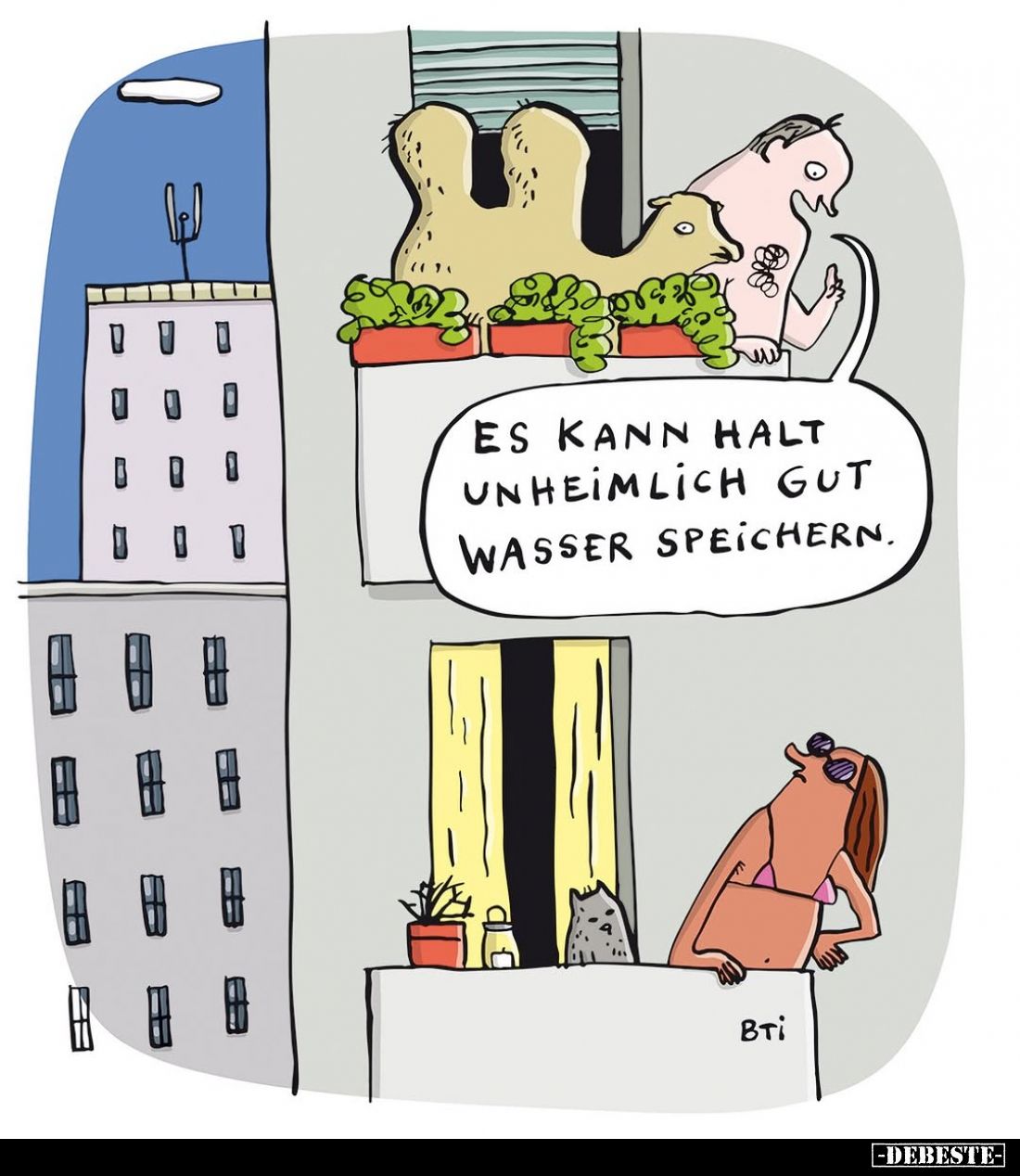 Es kann halt unheimlich gut Wasser speichern.