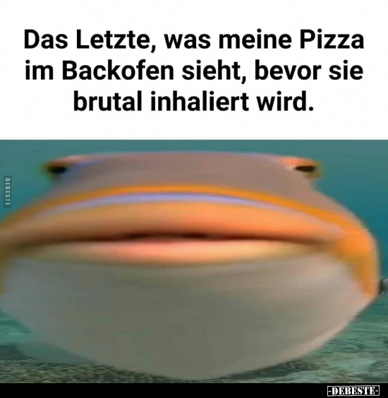 Das Letzte, was meine Pizza im Backofen sieht, bevor sie..