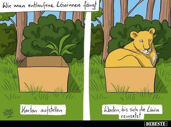 Wie man entlaufene Löwinnen fängt.. - Lustige Bilder | DEBESTE.de