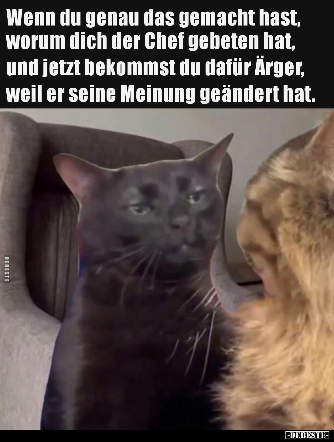 Wenn du genau das gemacht hast, worum dich der Chef gebeten hat, und jetzt bekommst du dafür Ärger, weil er seine Meinung geä...