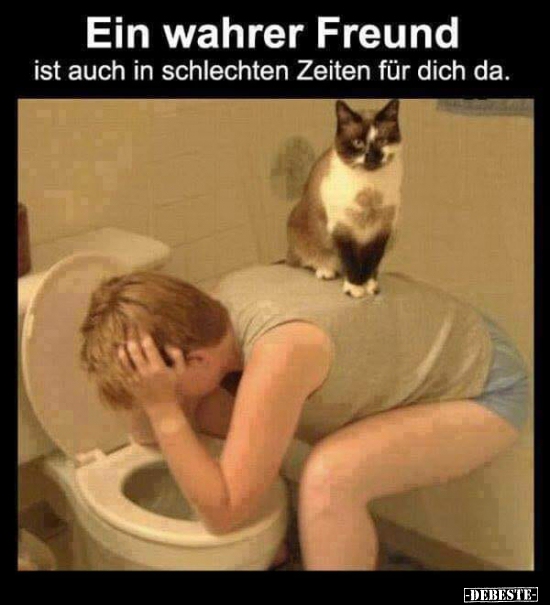 Ein wahrer Freund ist auch in schlechten Zeiten für dich.. - Lustige Bilder | DEBESTE.de