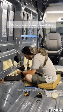 Catatouille: The Mechanic.