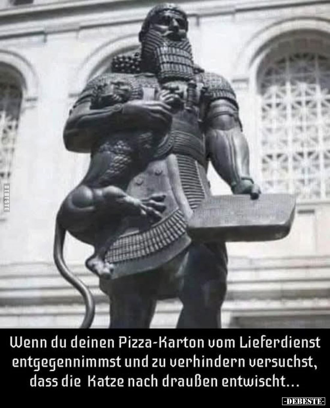 Wenn du deinen Pizza-Karton vom Lieferdienst entgegennimmst und zu verhindern versuchst, dass die Katze nach draußen entwisch...