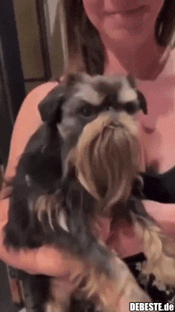 Let me tell ye a story..