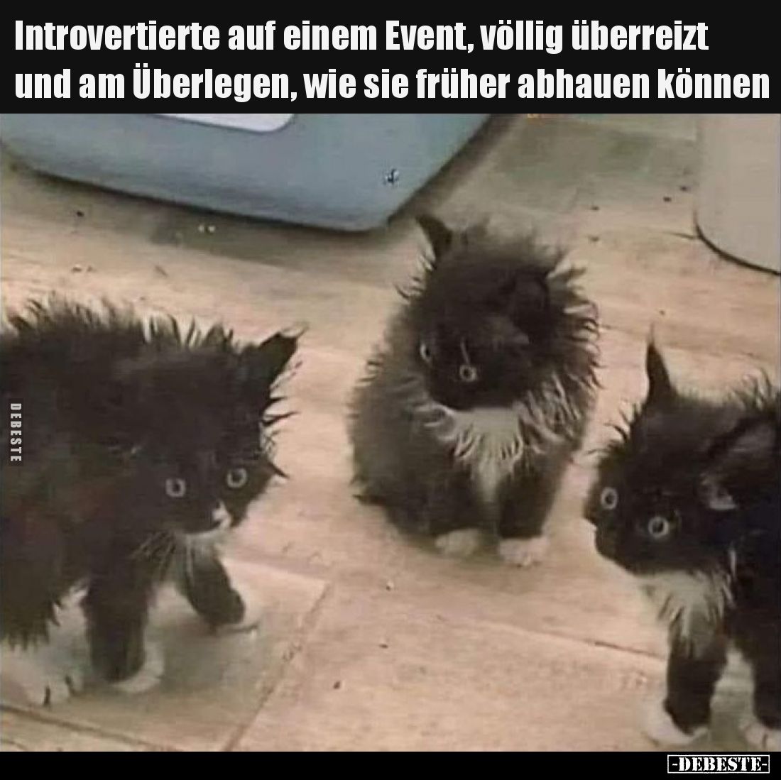 Introvertierte auf einem Event, völlig überreizt und am Überlegen, wie sie früher abhauen können