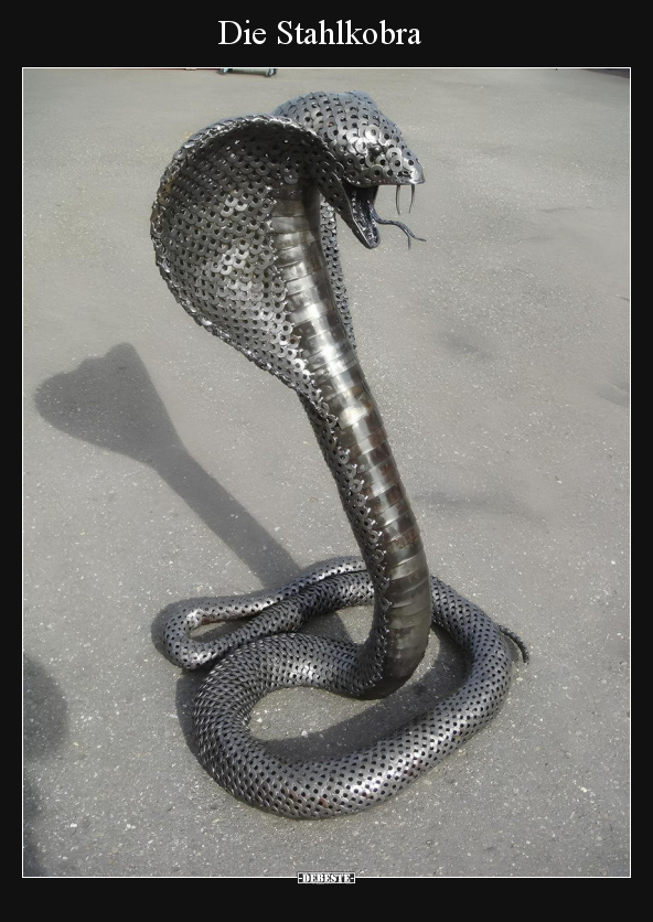 Die Stahlkobra