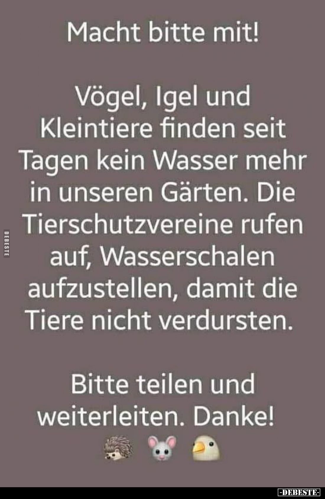 Macht bitte mit!
Vögel, Igel und Kleintiere finden seit Tagen kein Wasser mehr in unseren Gärten. Die Tierschutzvereine rufe...