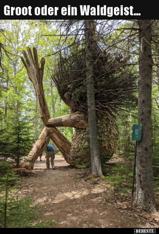 Groot oder ein Waldgeist... - Lustige Bilder | DEBESTE.de