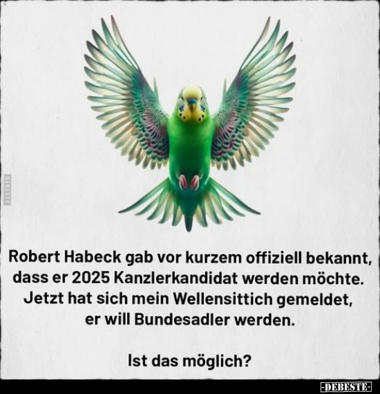 Robert Habeck gab vor kurzem offiziell bekannt.. - Lustige Bilder | DEBESTE.de