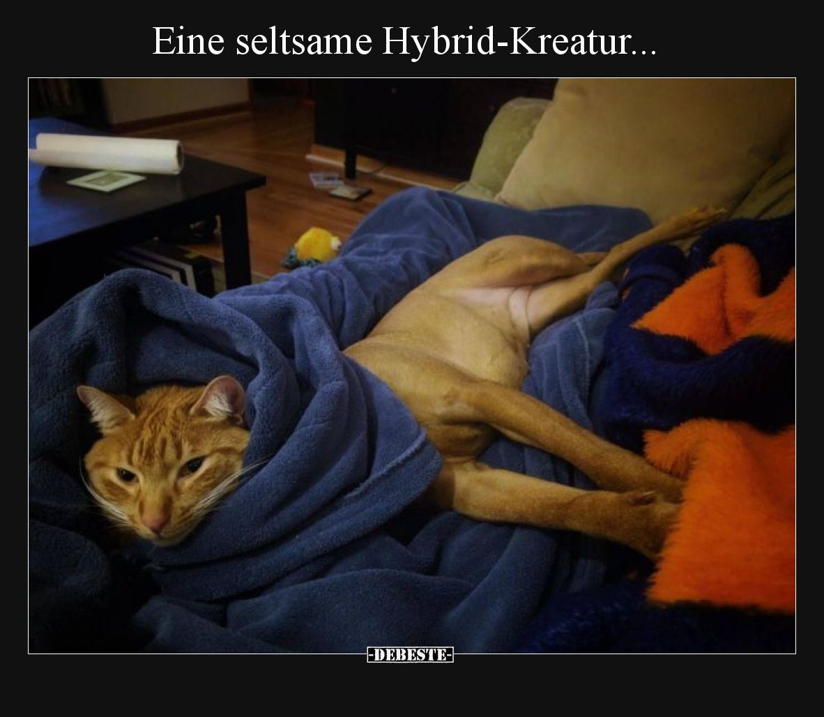 Eine seltsame Hybrid-Kreatur.. - Lustige Bilder | DEBESTE.de