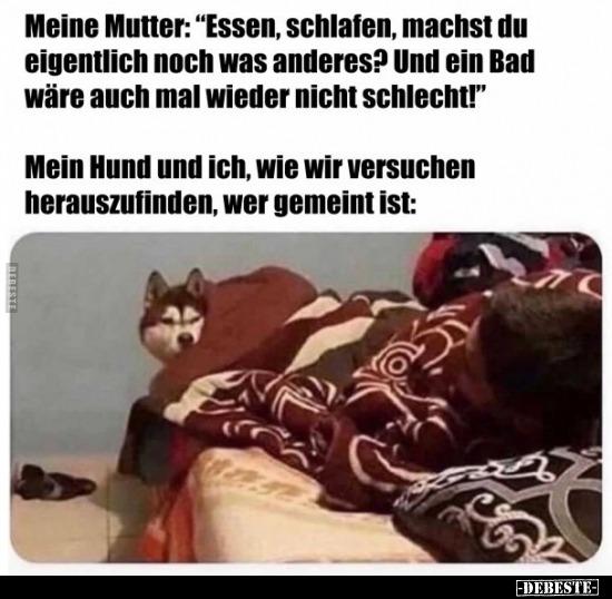 Meine Mutter: "Essen, schlafen, machst du eigentlich noch.." - Lustige Bilder | DEBESTE.de