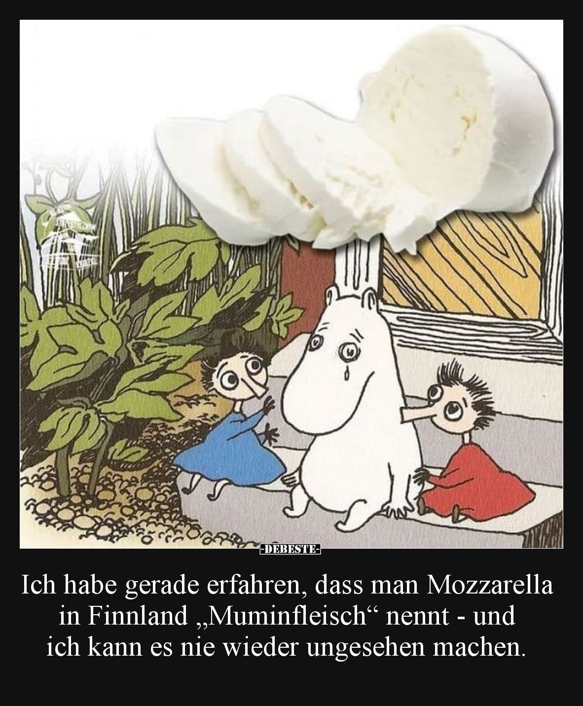 Ich habe gerade erfahren, dass man Mozzarella in Finnland „Muminfleisch“ nennt - und ich kann es nie wieder ungesehen machen.