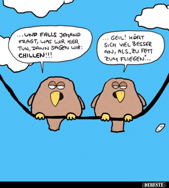 ...Und falls jemand fragt, was wir hier tun, dann sagen..