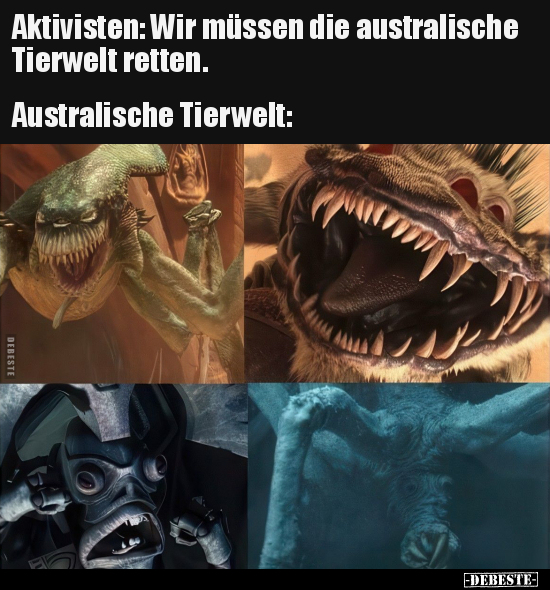 Aktivisten: Wir müssen die australische Tierwelt.. - Lustige Bilder | DEBESTE.de