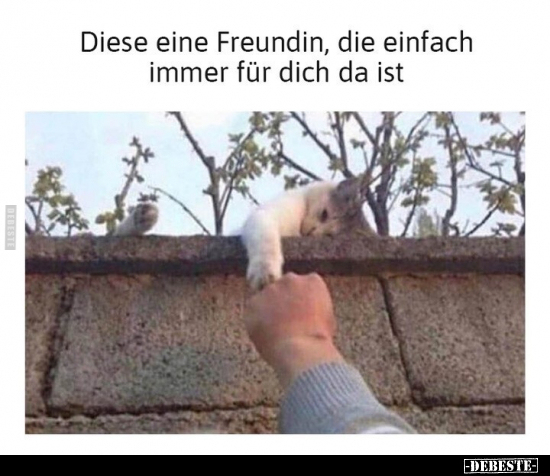 Diese eine Freundin, die einfach immer für dich da ist.. - Lustige Bilder | DEBESTE.de