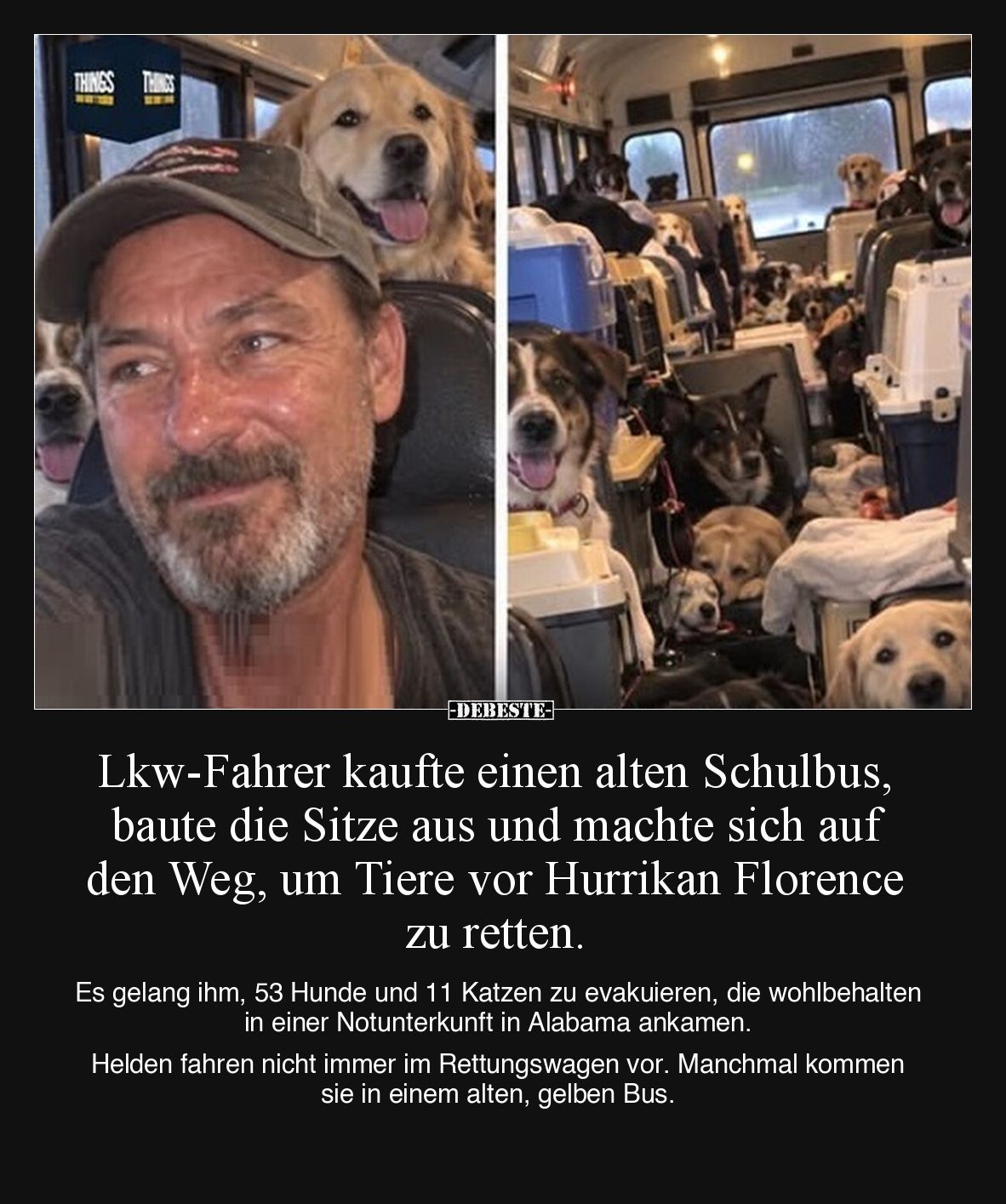 Lkw-Fahrer kaufte einen alten Schulbus, baute die Sitze aus und machte sich auf den Weg, um Tiere vor Hurrikan Florence zu re...