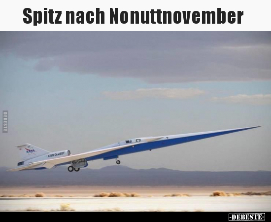 Spitz nach Nonuttnovember.. - Lustige Bilder | DEBESTE.de