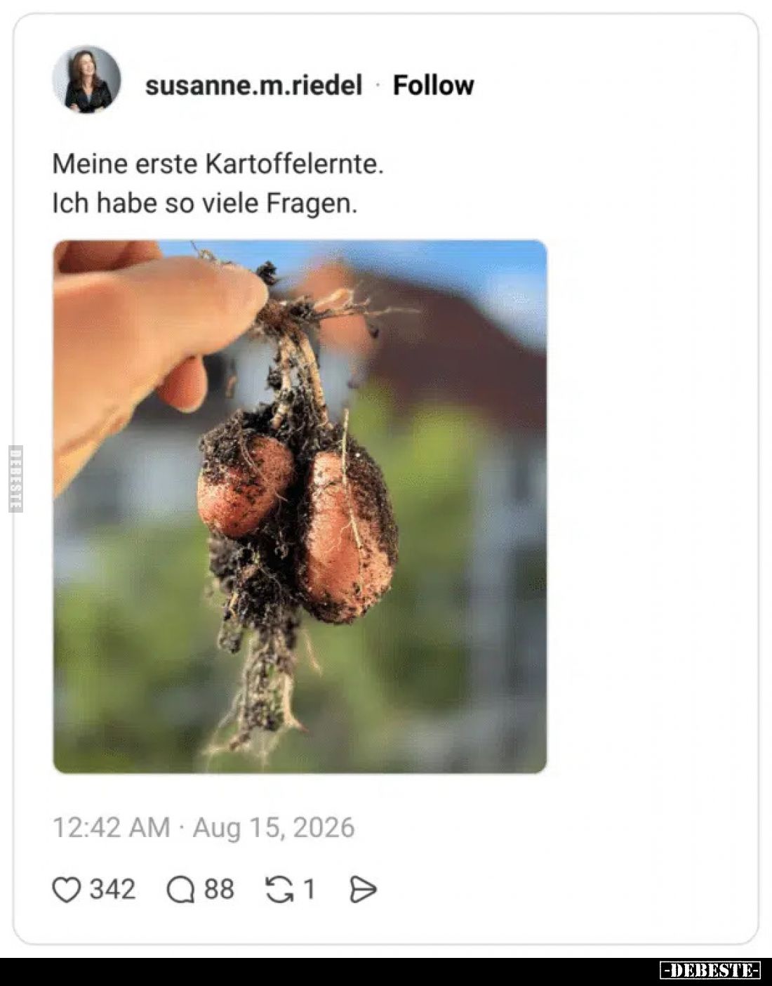 Meine erste Kartoffelernte. Ich habe so viele Fragen... - Lustige Bilder | DEBESTE.de