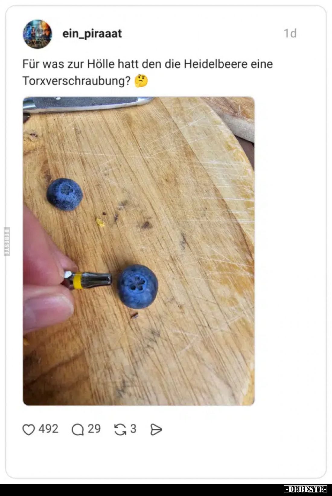 Für was zur Hölle hatt den die Heidelbeere eine Torxverschraubung?