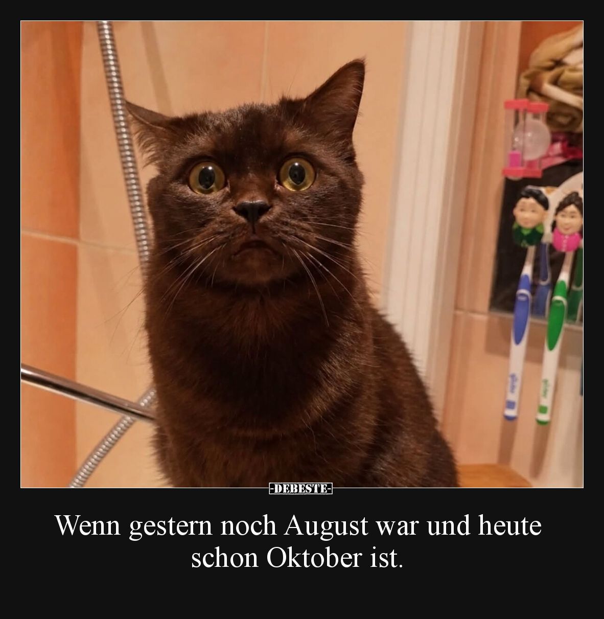 Wenn gestern noch August war und heute schon Oktober ist.