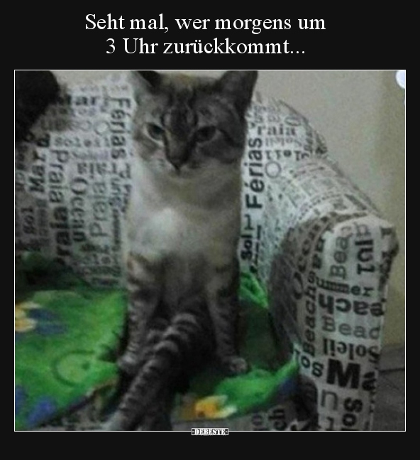 Seht mal, wer morgens um 3 Uhr zurückkommt...