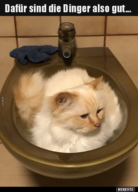 Dafür sind die Dinger also gut...