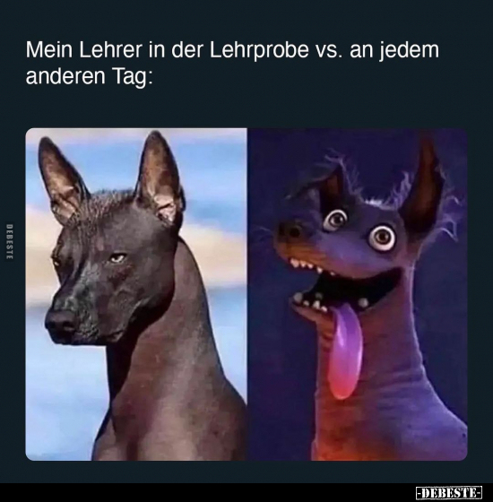 Mein Lehrer in der Lehrprobe vs. an jedem anderen Tag.. - Lustige Bilder | DEBESTE.de