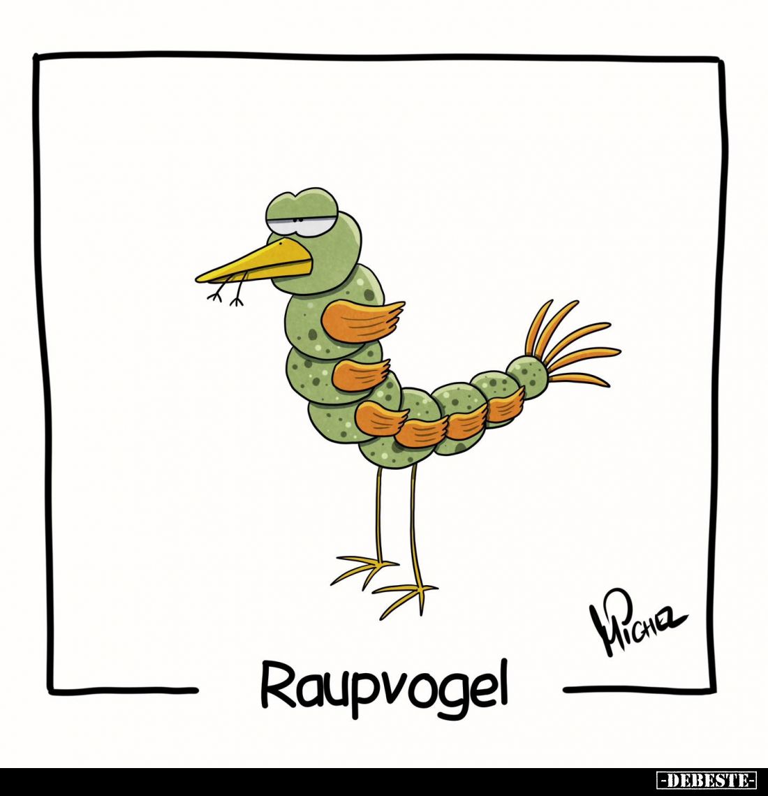 Raupvogel.