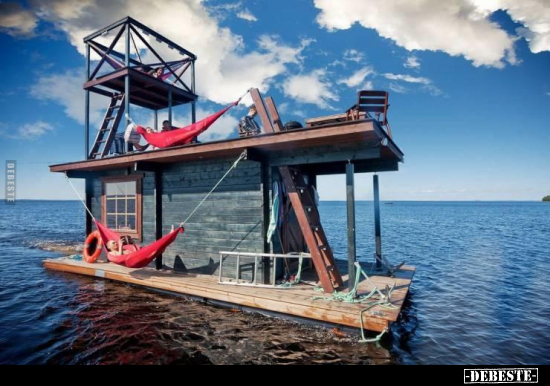  - Lustige Bilder | DEBESTE.de