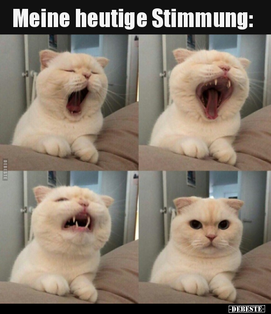 Meine heutige Stimmung..