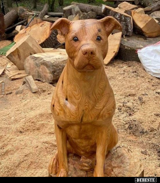  - Lustige Bilder | DEBESTE.de