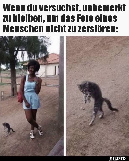 Wenn du versuchst, unbemerkt zu bleiben, um das Foto eines..