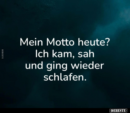 Mein Motto heute? Ich kam, sah und ging wieder schlafen.. - Lustige Bilder | DEBESTE.de