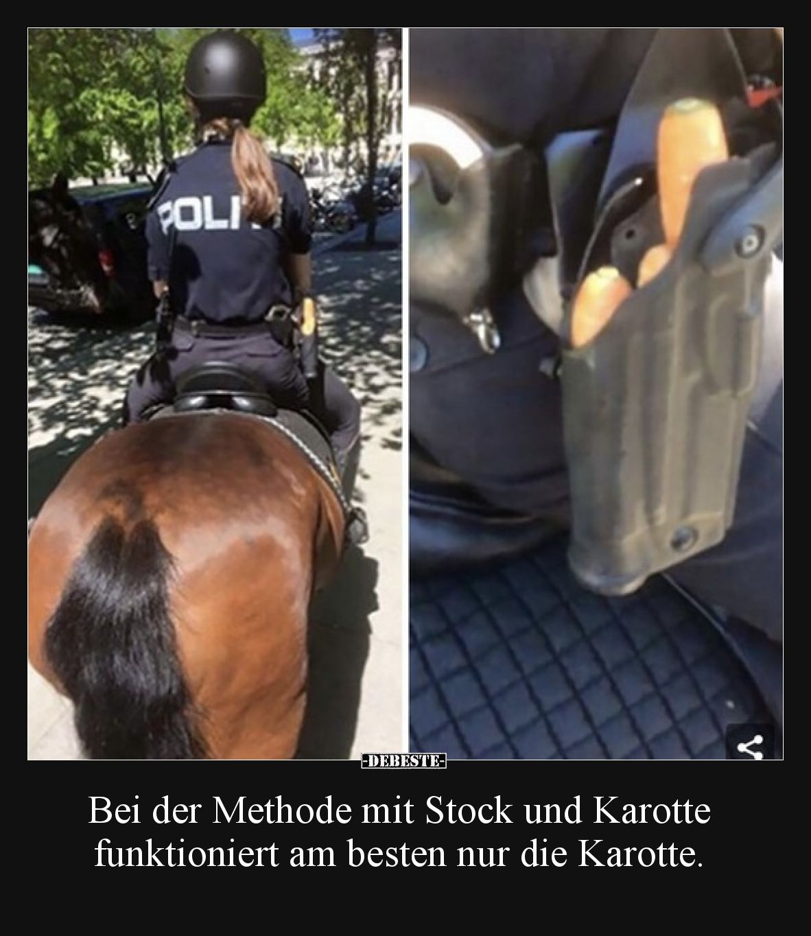 Bei der Methode mit Stock und Karotte funktioniert am besten nur die Karotte.
