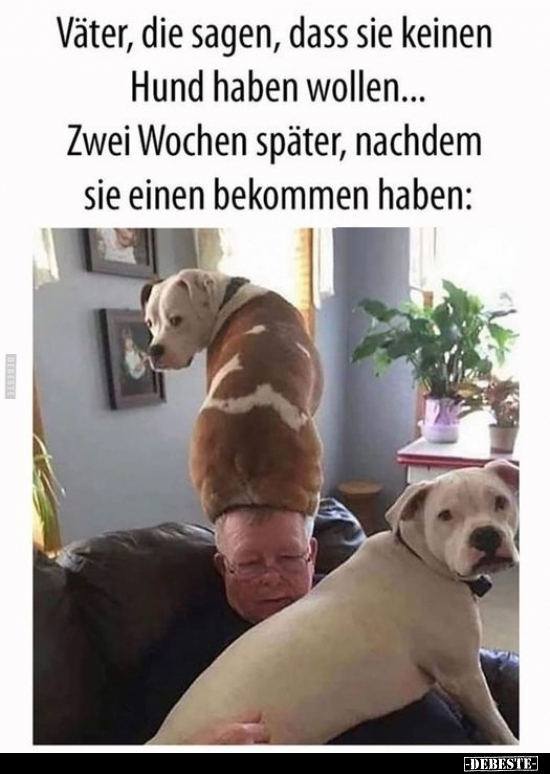 Väter, die sagen, dass sie keinen Hund haben wollen... - Lustige Bilder | DEBESTE.de