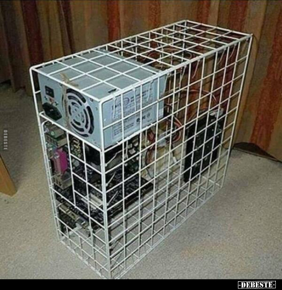  - Lustige Bilder | DEBESTE.de