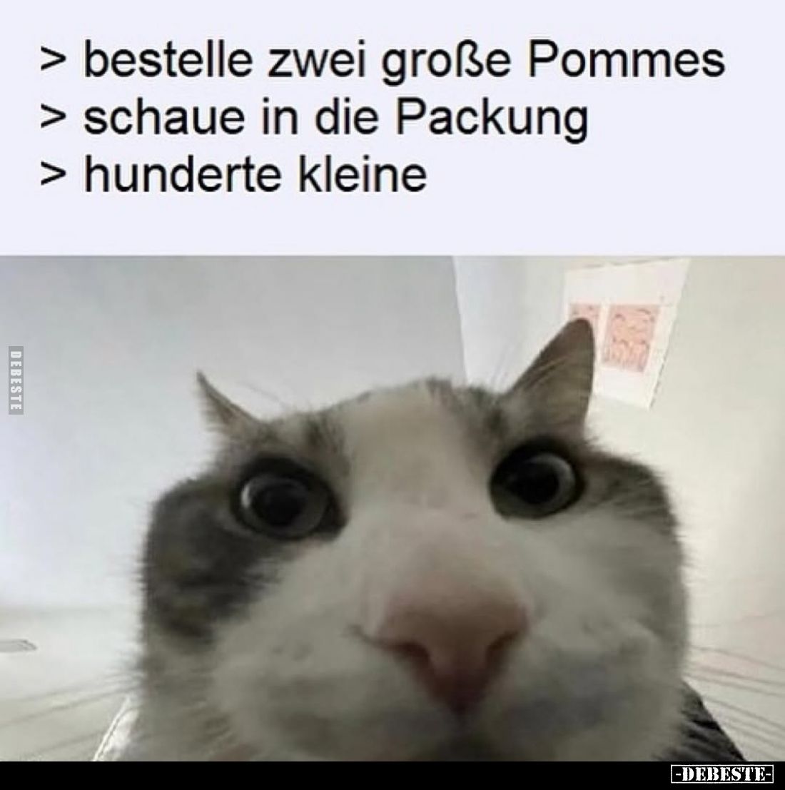 Bestelle zwei große Pommes.
Schaue in die Packung.
Hunderte kleine.