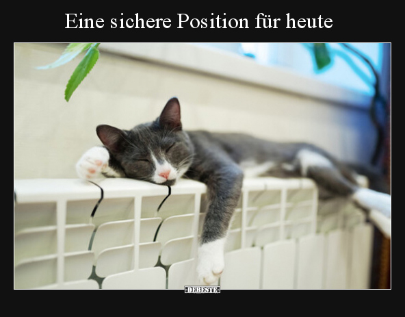 Eine sichere Position für heute.. - Lustige Bilder | DEBESTE.de