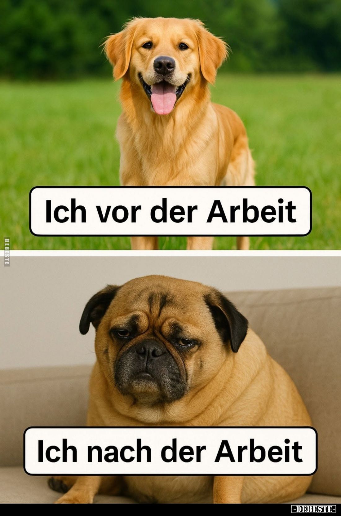 Ich vor der Arbeit. -
Ich nach der Arbeit.