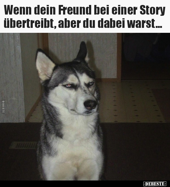 Wenn dein Freund bei einer Story übertreibt, aber du dabei..