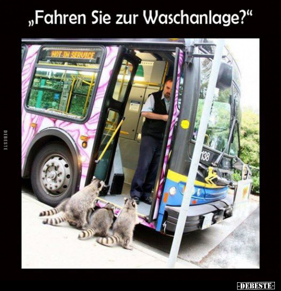 "Fahren Sie zur Waschanlage?".. - Lustige Bilder | DEBESTE.de