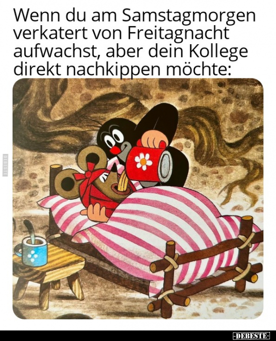 Wenn du am Samstagmorgen verkatert von Freitagnacht.. - Lustige Bilder | DEBESTE.de