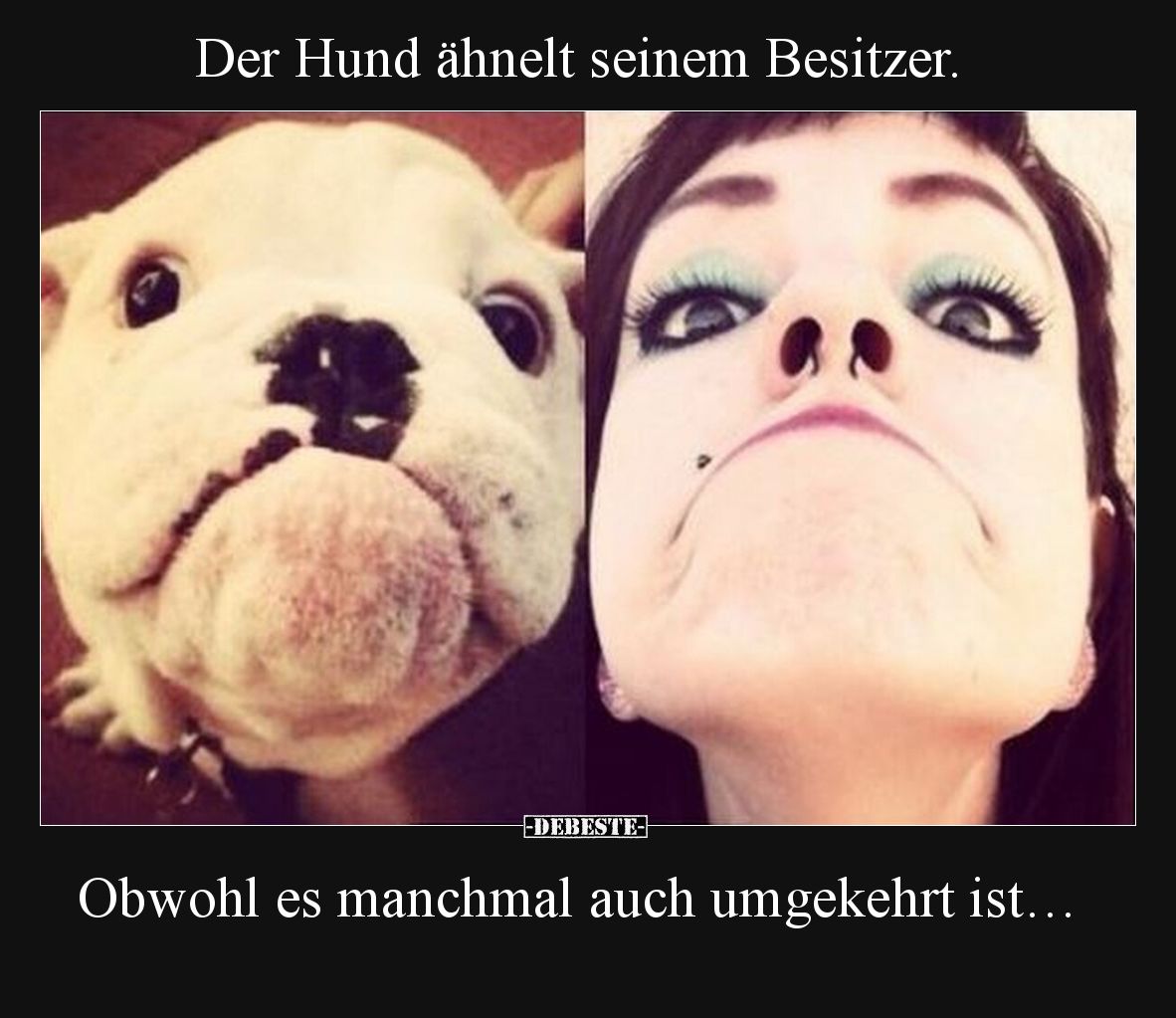 Der Hund ähnelt seinem Besitzer.  Obwohl es manchmal auch umgekehrt ist…