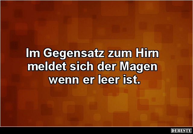 Im Gegensatz zum Hirn 
meldet sich der Magen 
wenn er leer ist.