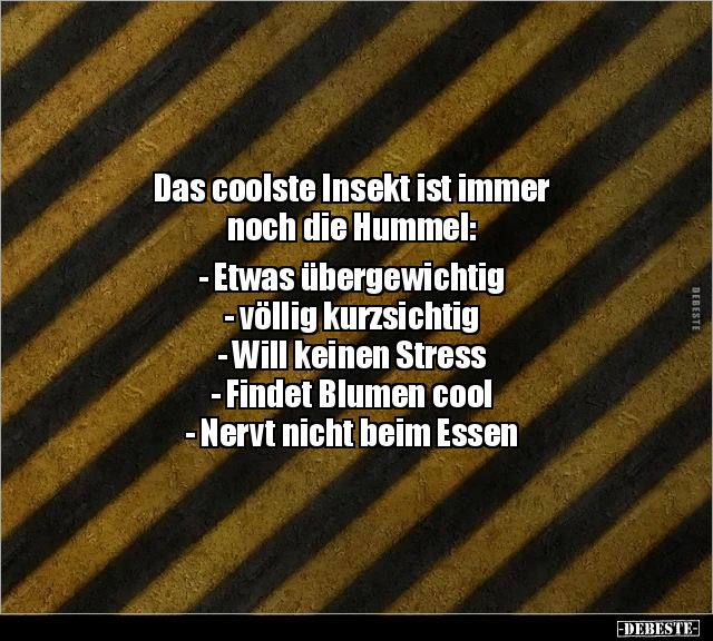 Das coolste Insekt ist immer noch die Hummel: - Lustige Bilder | DEBESTE.de