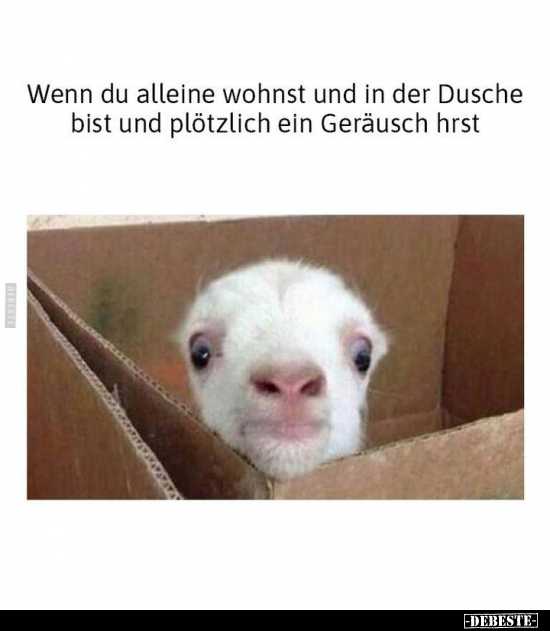 Wenn du alleine wohnst und in der Dusche bist und plötzlich.. - Lustige Bilder | DEBESTE.de